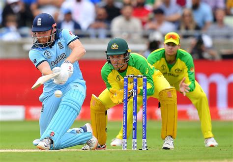 'cricket' Search .